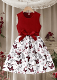 Girls Sleeveless Dress